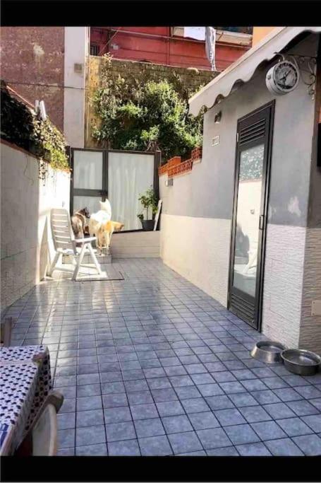 Napoli Centro Casa Con Due Camere E Cucina Nápoles Exterior foto